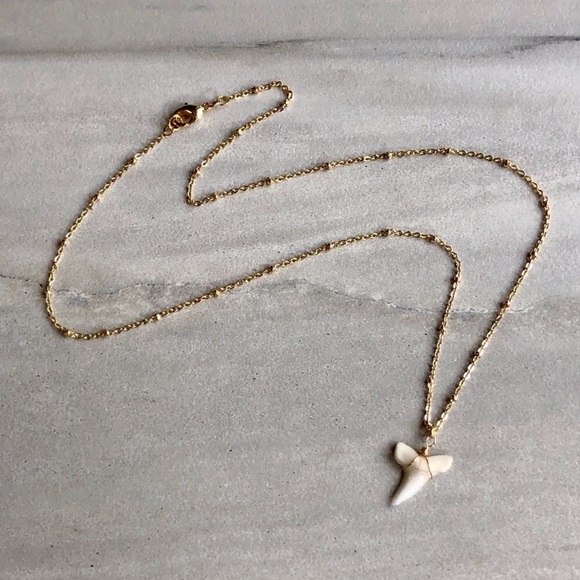 Estrella & Luna Jewelry - ❗️LAST❗️Dainty Shark Tooth Necklace